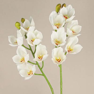 6 Heads Artificial Papilio Orchid Vivid Colors Bendable Stems Simulation Phalaenopsis Real Touch Lifelike Fake Flowers