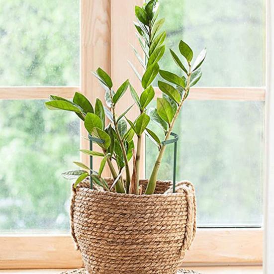 6Pcs Half Round Plant Support Stake Weather Resistant Plastic Tomato Planting Flower Support Ring for Garden