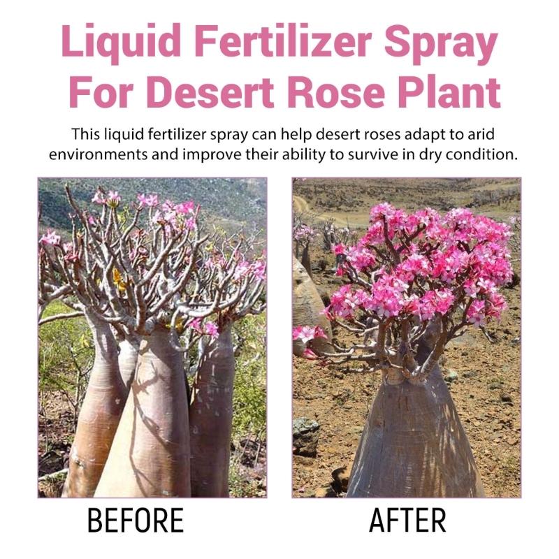 Profesionální hnojiva ve spreji z pouštních růží Mlžení pro zahradu Jemná směs Mlžení pro zdraví Živiny pro růst listů