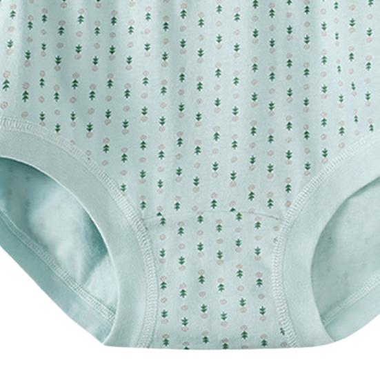 Women'S Cotton Underwear High Waisted Granny Panties Soft Full Coverage Briefs