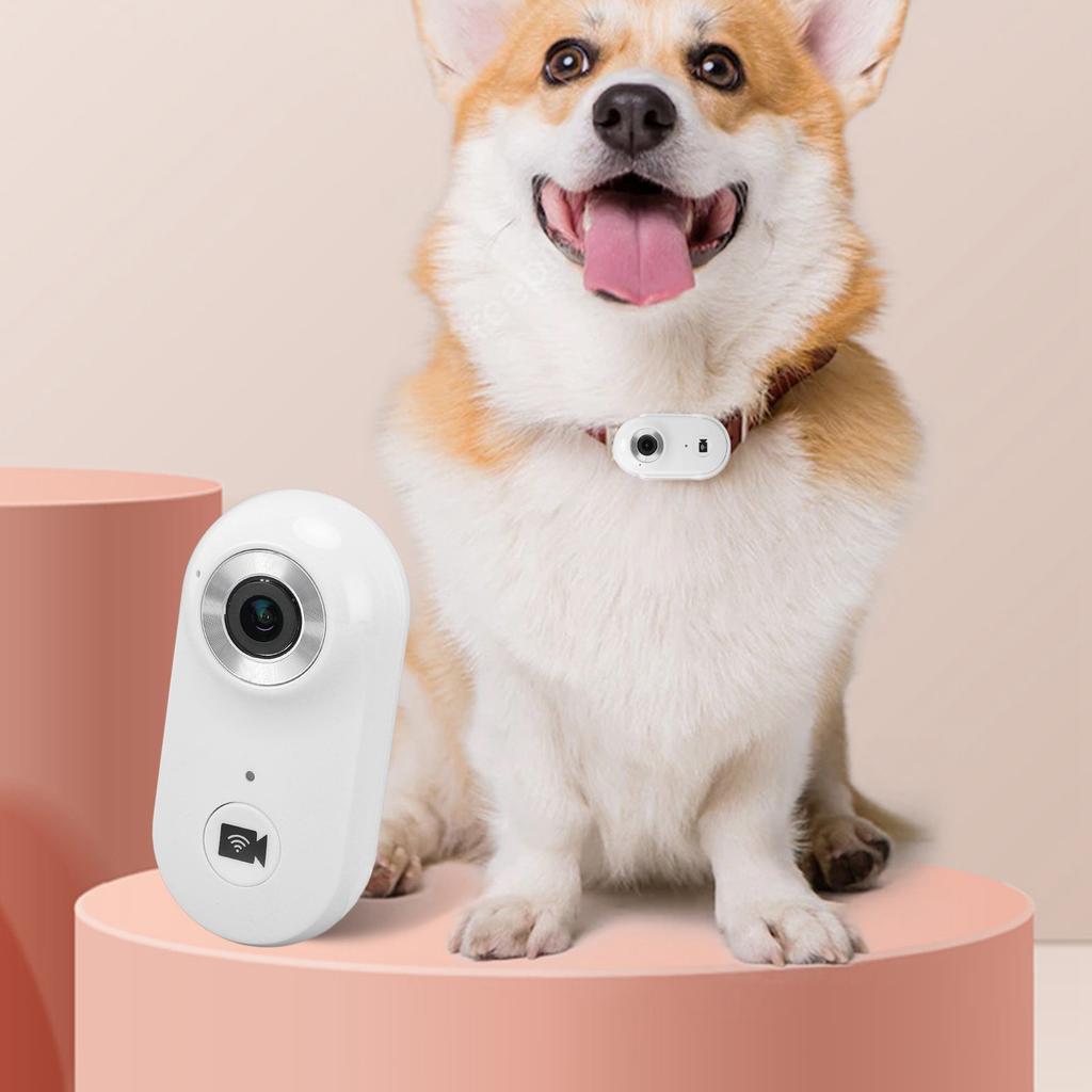 Pet Collar Camera 1080P HD 2.4G Wireless Dog Cat Wearable Video Recorder   Recording Small Action Camera with APP for Outdoor
