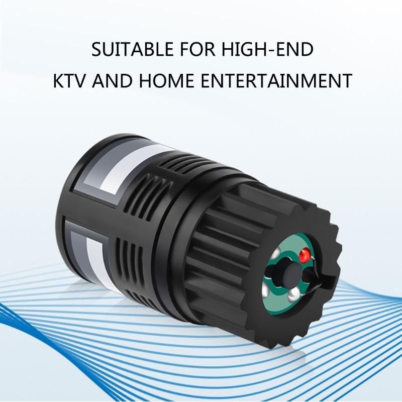 Professionelle Dynamische Mikrofonkapsel, Dynamische Mikrofonkerne Klarer Klang für Live-Auftritte Studioaufnahme