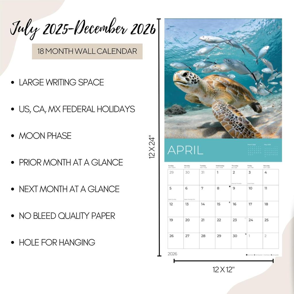 Sea Animals Wall Calendar | Sea Life Calendar | 12" x 24" Open | Giftable Calendar 2026 | Thick & Sturdy Paper for Organizing & Planning | Pacific