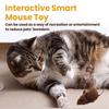 Kedi – Kedi Oyuncakları