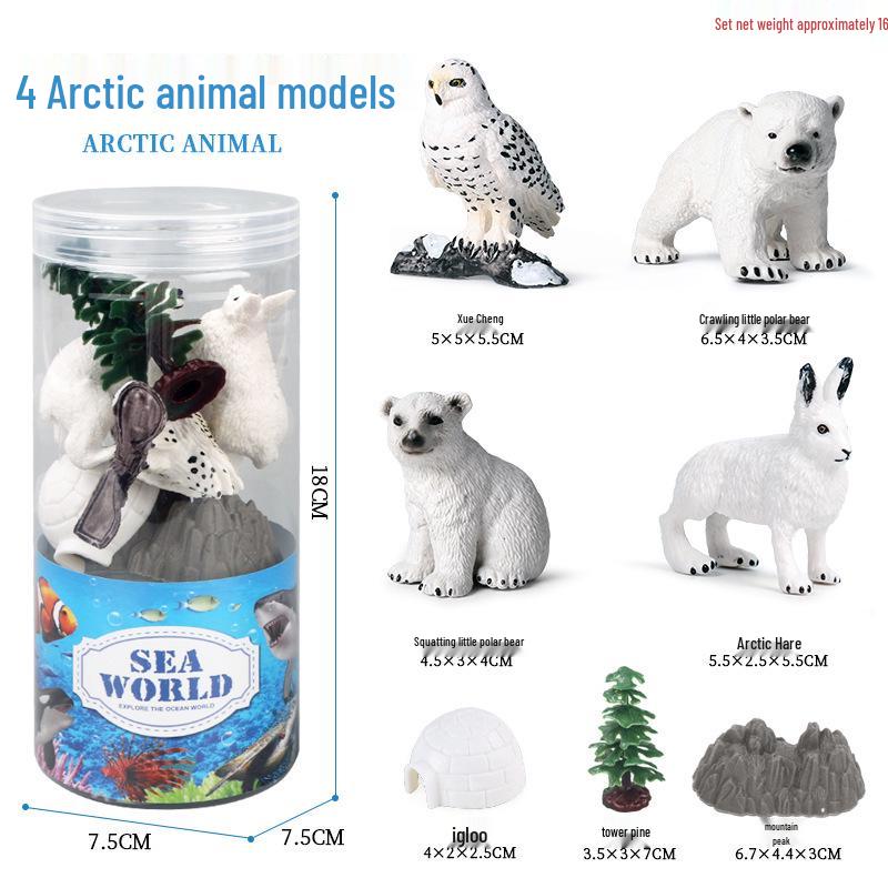 Children's Cognitive Toys: Frog Tadpole Growth Cycle Models