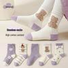 Boys' Mid-Calf Combed Cotton Socks - Spring/Autumn Stripe and Letter Design