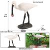 Black-faced Spoonbill Bird Simulation Model - Educational Toy for Children