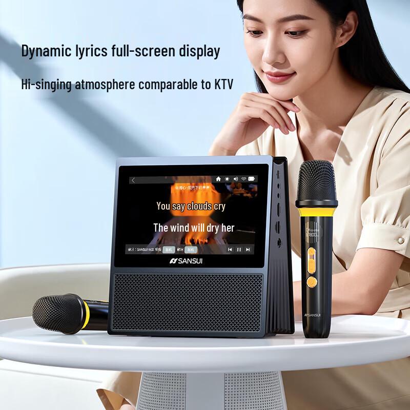 SANSUI W200 Home KTV Speaker System