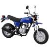 AOSHIMA 1/12 The Bike Series No.40 Honda HC07 Ape 100 '06 Plastic Model