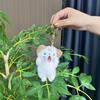 Plush Beautifully Crafted Dog And Rabbit Keychains Super Soft Lovable Collectible Toys
