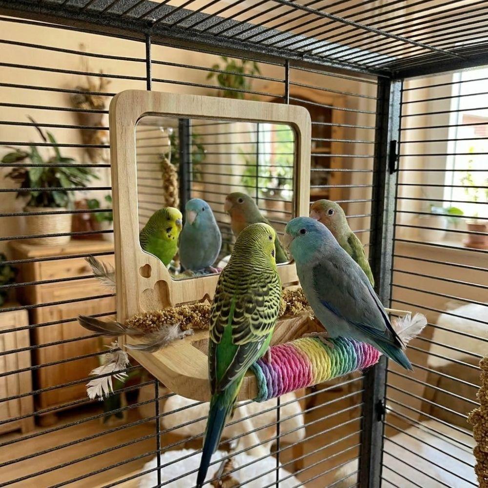 Anti-slip Wood Bird Training Stand Interactive Parrot Biting Rod Bird Cage Accessories
