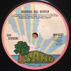 7-Zoll-Schallplatte CAT STEVENS  Morning Has Broken  WIP6121 Island Records 1971 UK Rock Gebraucht