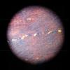 Dispozitive optice – Microscoape