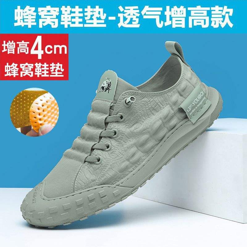 Ice Silk Cloth Shoes Men's 2025 New Summer Breathable Men's Versatile Casual Old North Cloth Shoes Korean Version of Trendy Board Shoes