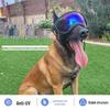 Windproof Anti-UV Dog Goggles for Medium To Large Dogs