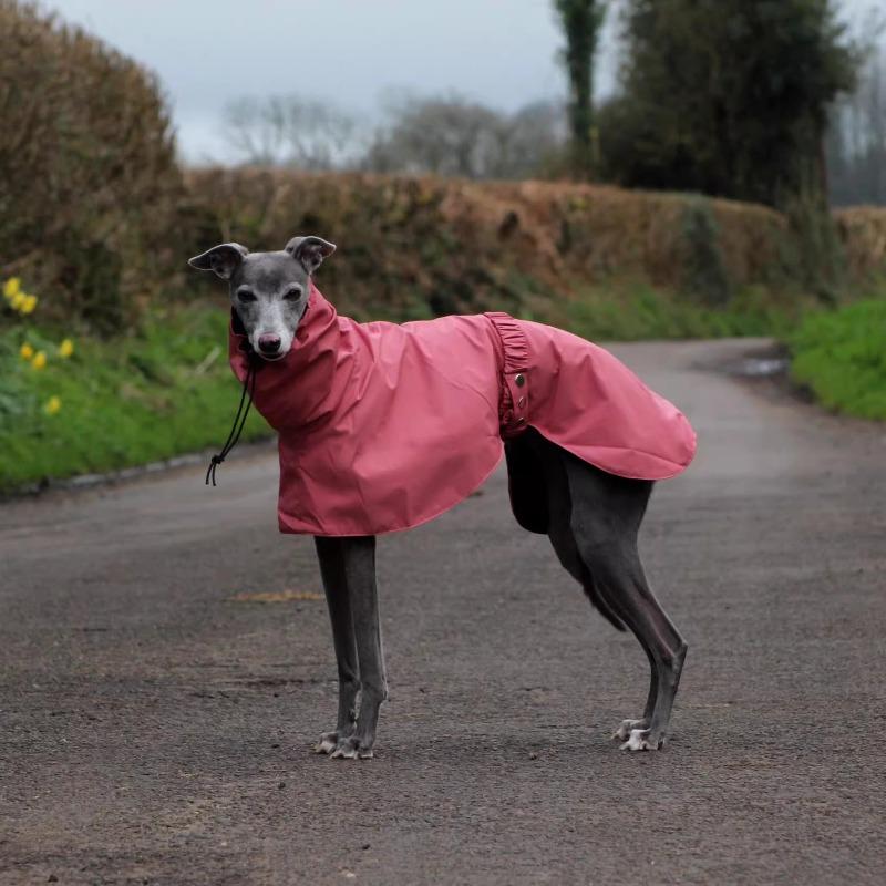 Wasserdichte Hundekleidung Haustier Hundeponcho Regenmantel Große Hunde Regenmantel Haustiere Hunde Zubehör Windjacke Kleidung Produkt Zubehör