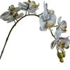 Phalaenopsis Wabi-Sabi Style Artificial Flowers for Home, Wedding, or Hotel Decor