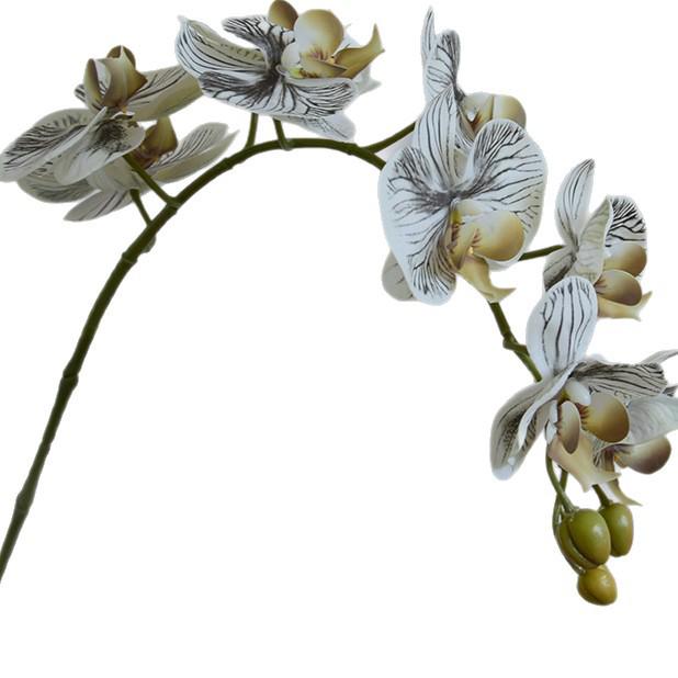 Phalaenopsis Wabi-Sabi Style Artificial Flowers for Home, Wedding, or Hotel Decor