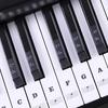 37/49/54/61/88 Tasten Elektronisches Klavier Musik Tastatur Transparenter PVC Aufkleber Dekor