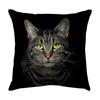 Cute Cat Pillowcase Car Ornaments Living Room Office Home Pillowcase