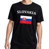 T-Shirt mit slowakischer Pride-Flagge für Herren Großes Geschenk aus der Slowakei Lässiges Kurzarm-T-Shirt für Unisex 100