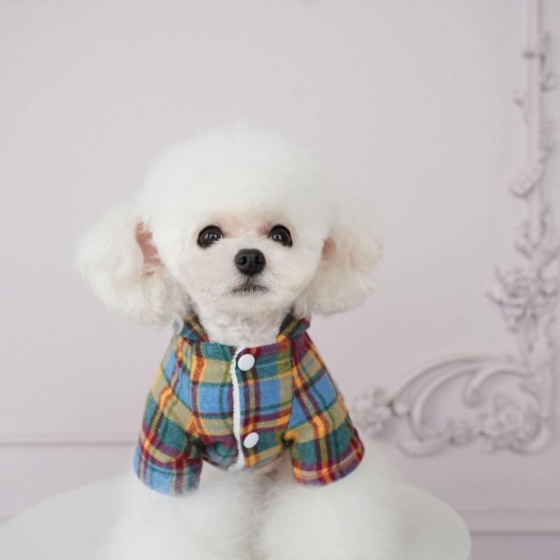 Pet Dog Winter Outfit Set Rainbow Plaid Skirt Two-Legged Coat Small Medium Breeds