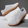 Low-top Lace-up Breathable Versatile Men's and Women's Commuting Comfortable Shoes Couple's Breathable Mesh Sports and Leisure Board Shoes