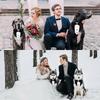 Dog Collar Pet Wedding Bow Tie Scarf Adjustable Dog Neckerchief Bowtie Collar  Pet Formal Costume for Puppy