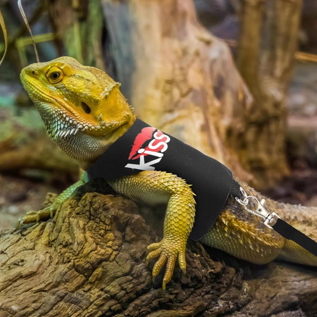2 Pack Bearded Dragon Harness and Leash Set, Escape Proof Adjustable Lizard Reptiles Harness Cute Lizard Reptile Small Animal Harness Clothes with