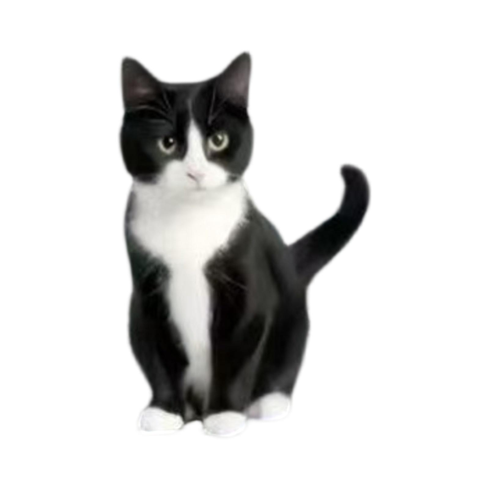 

Автомобильный аксессуар Мультяшное украшение-ароматизатор One Size чёрный