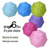 Water-Activated Blooming Three-Fold Umbrella with Sun Protection and Custom LOGO