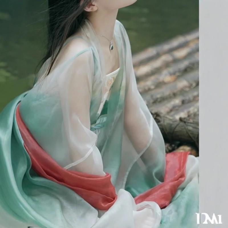 Womens Tang Dynasty Style Hanfu Set Embroidered Wide Sleeve Top Printed Skirt Chiffon Four Outfit
