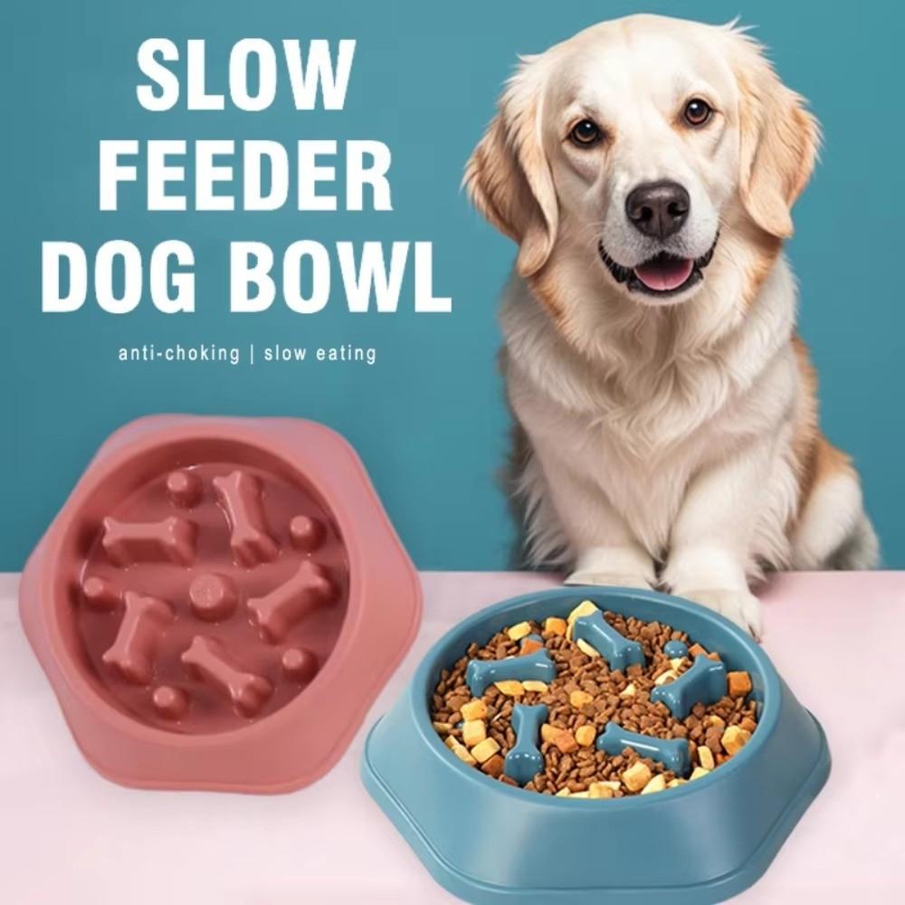 Anti-choking Dog Bowl Slow Feeder Pet Feeder Bowl New Slow Feeding Bowls  Cat Feeding