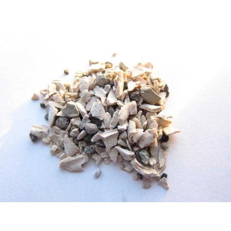 

Fossilized calcium from weathered shell known as somachit 50g.