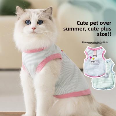 Ropa y calzado – Chalecos y camisas para perros