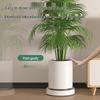 Wheeled Mobile Flower Pot Tray with Hidden Universal Wheels - Thickened Plastic Base