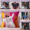 SSlimane France Singer Pillow Case Silky Short Plush With Invisible Zipper Dustproof Sofa Cushion Cover For Home Decor