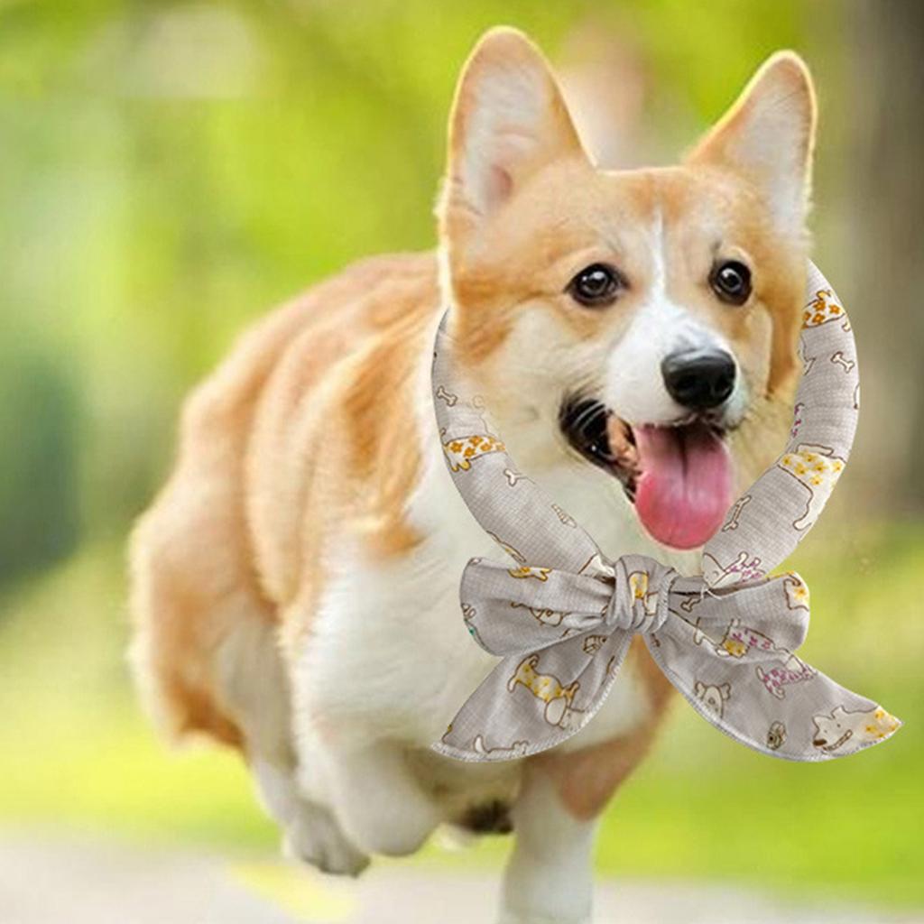 Summer Dog Collar Cool Pet Dog Cooling Bandana Adjustable Ice Scarf Cute Print Dog Cooling Collar Heatstroke Pet Dog Accessories