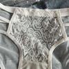 3pcs/Lots Lace Panties for Women Transparent Mesh Hip Male Briefs Low Rise Hollow Out Breathable Underwear Plus Size