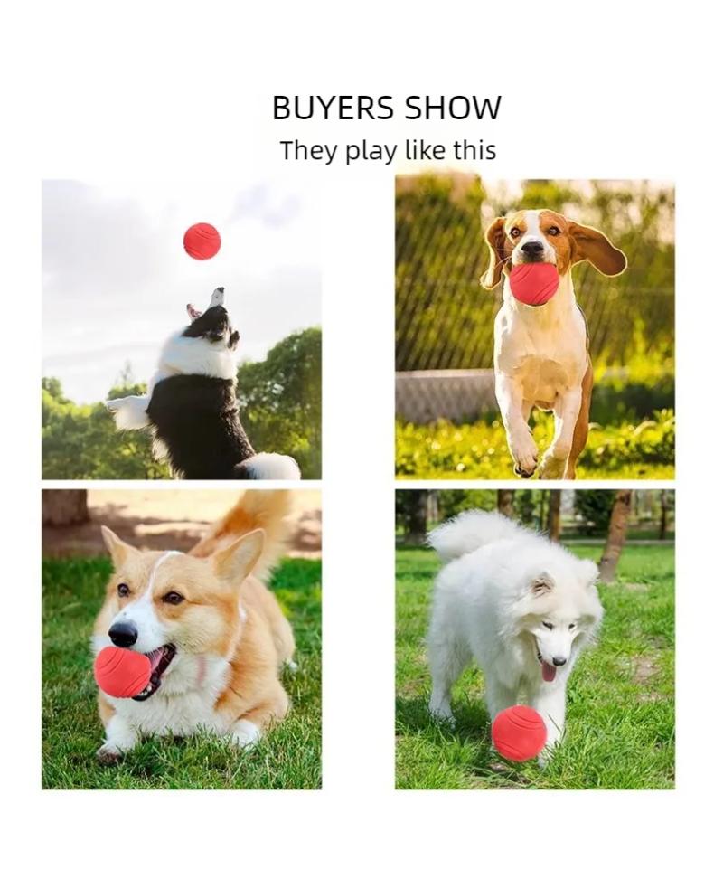 Giocattoli per cani in gomma naturale Giocattoli da masticare per cani Palla per la pulizia dei denti Palla elastica interattiva extra resistente da 5 cm per prodotti per animali domestici