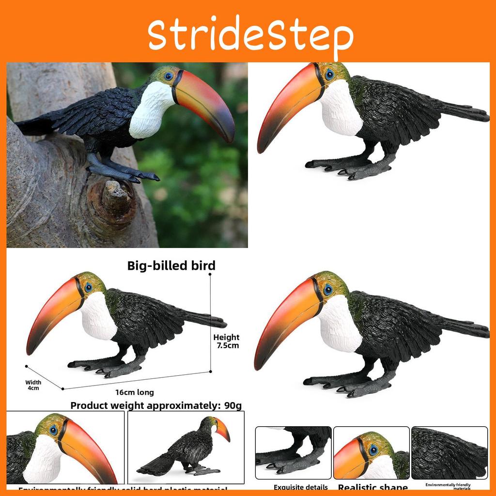 Simulated Wild Animal Big Billed Bird Ramphastos Toco Model Toys Ornament