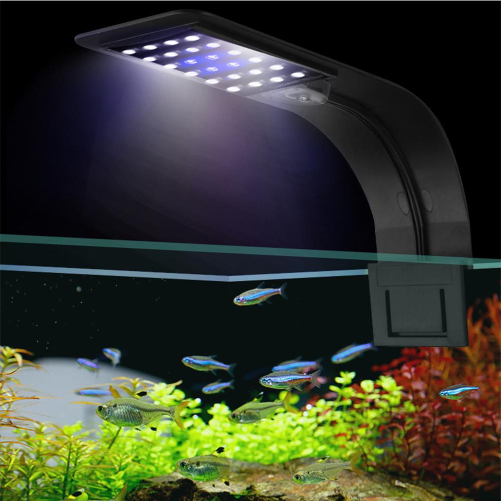 slim fish tank
