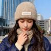Autumn and Winter New Wool Hat for Women, Small Face, Warm Ear Protection, Cold Hat, Korean Letter Knitted Hat, Pullover Hat