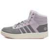 Hoops 2.0 Mid 'Grey Purple' Women's EE7878
