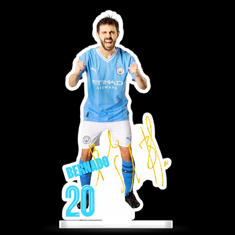 Manchester City Official Player Standee