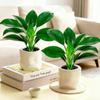 Mini Self Watering Flower Pot Fish Tank Plastic Plant Pots Self Watering Planter Pot Vase For Home Decoration