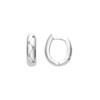 Luxenter Earrings with Cubic Zirconia In Silver Finish - Donwa