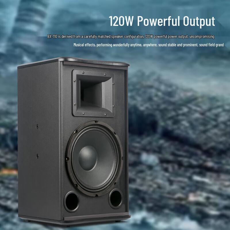 SHILE BX-110 10-inch Professional Passive Speaker Pair