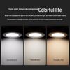 FSL 12W LED Recessed Downlight