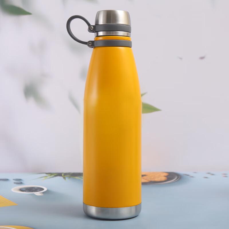 Duoli 316 Stainless Steel Insulated Sports Water Bottle with Carrying Strap